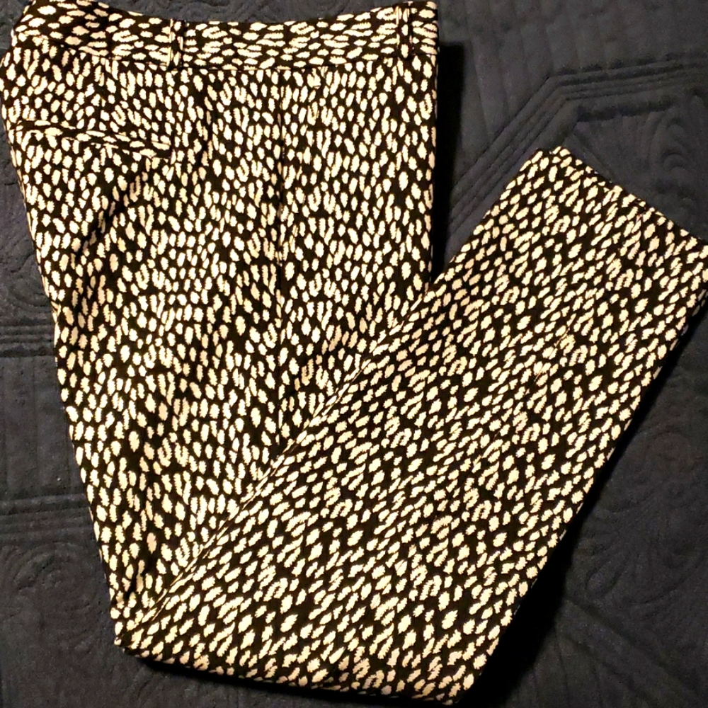 Dress pants